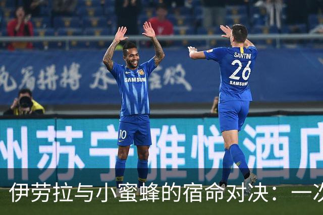 伊劳拉与小蜜蜂的宿命对决：一次次的“蜜”味教训